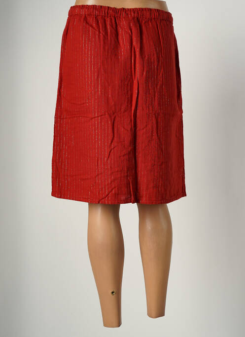 Jupe mi-longue marron HARTFORD pour femme