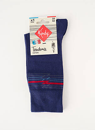 Chaussettes maille fine bleu KINDY homme