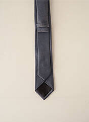 Cravate bleu ODB pour homme seconde vue