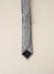 Cravate gris ODB pour homme seconde vue
