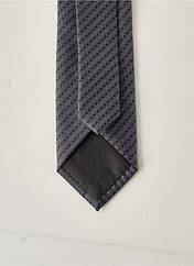 Cravate bleu PIERRE CARDIN pour homme seconde vue