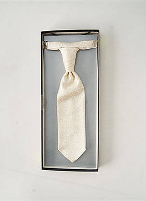 Cravate beige DIGEL pour homme