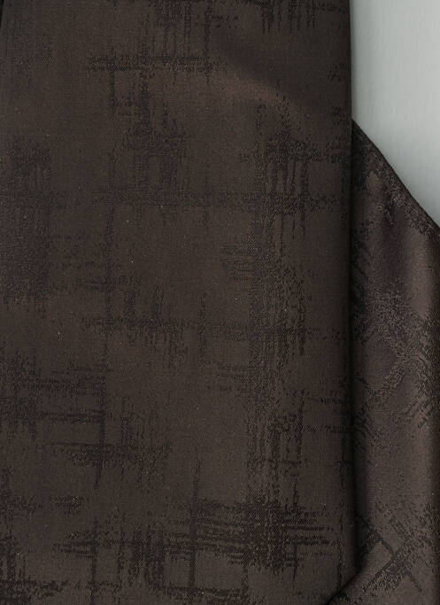 Cravate noir DIGEL pour homme