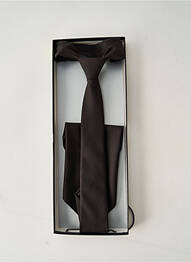 Cravate imprimé fantaisie marron DIGEL homme