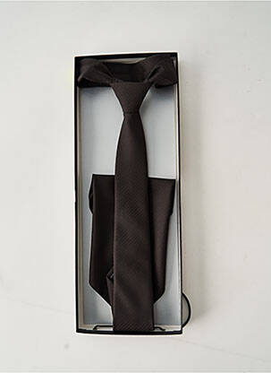 Cravate imprimé fantaisie marron DIGEL homme