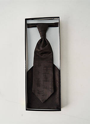 Cravate imprimé fantaisie marron DIGEL homme