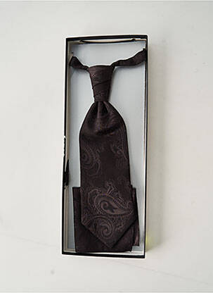 Cravate imprimé fantaisie marron DIGEL homme
