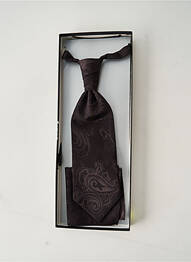 Cravate imprimé fantaisie marron DIGEL homme