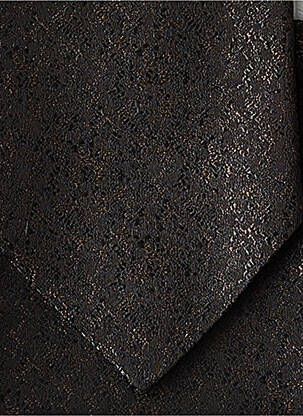 Cravate imprimé fantaisie marron DIGEL homme