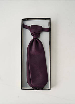 Cravate violet DIGEL pour homme