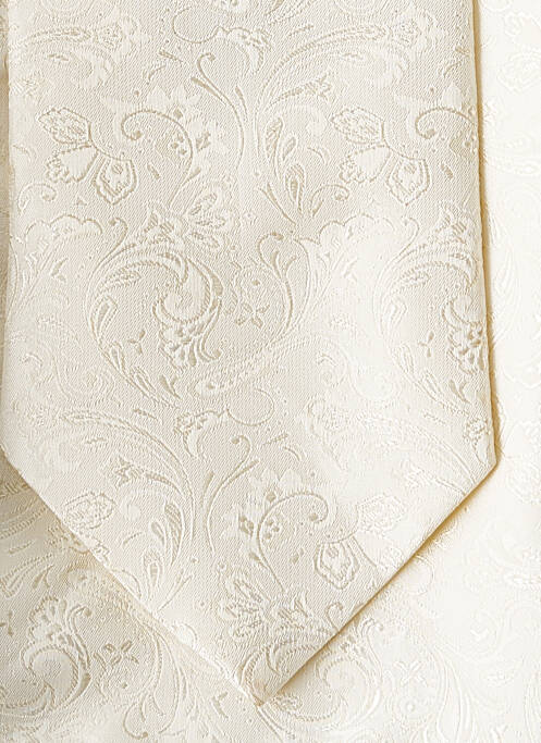 Cravate beige DIGEL pour homme