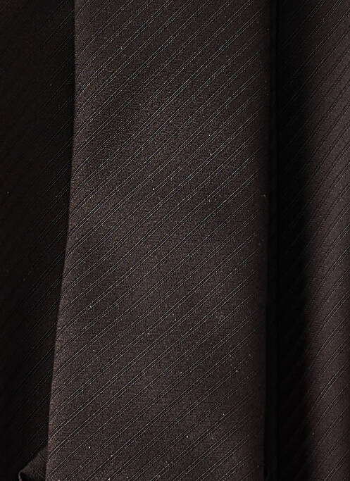 Cravate marron DIGEL pour homme