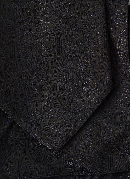 Cravate noir DIGEL pour homme