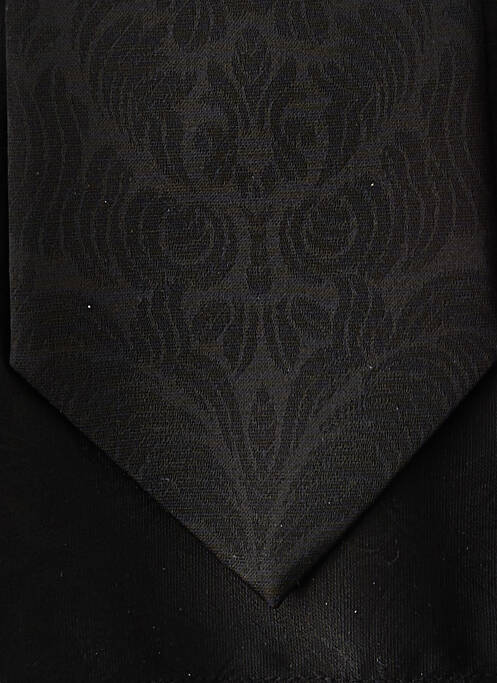 Cravate noir DIGEL pour homme
