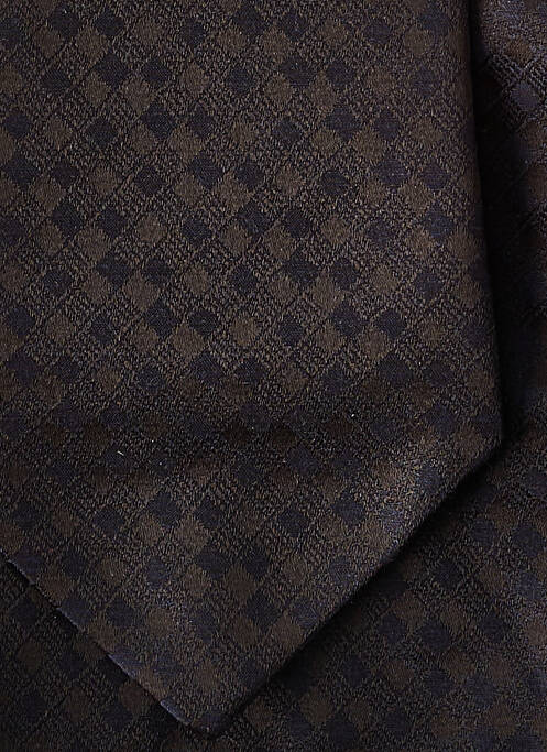 Cravate noir DIGEL pour homme