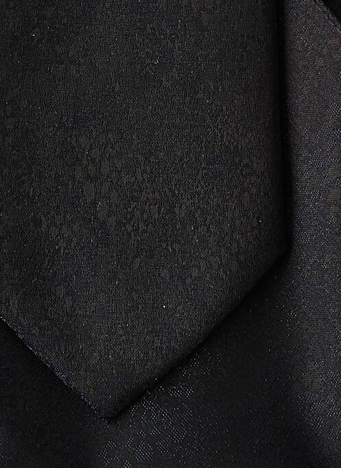 Cravate noir DIGEL pour homme