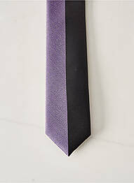 Cravate doublure violet ELIOS homme
