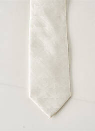 Cravate doublure blanc ELIOS homme