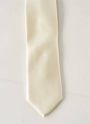 Cravate beige IZAC pour homme