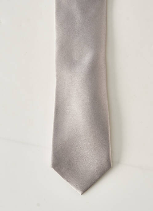 Cravate gris MAC-TY pour homme