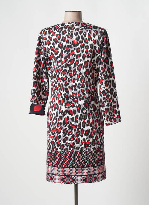 Robe mi-longue gris FRANCE RIVOIRE pour femme