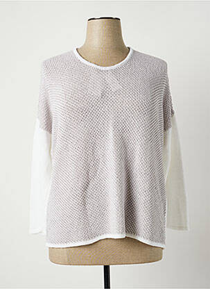 Pull coupe droite manches longues gris POLES femme