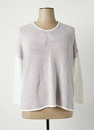 Pull maille souple et aérée manches longues gris POLES femme