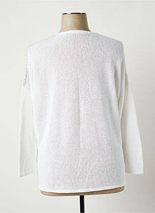 Pull coupe droite manches longues gris POLES femme