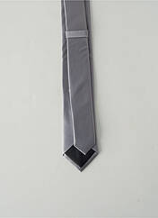 Cravate gris ELIOS pour homme seconde vue