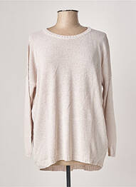 Pull finition bords-côtes manches longues gris POLES femme