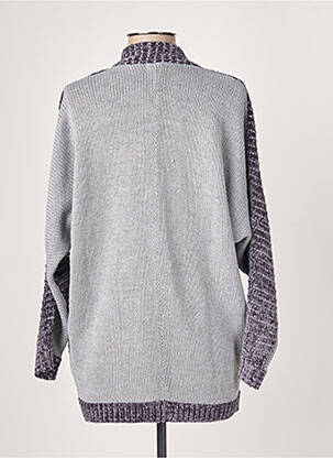 Gilet manches longues col châle gris ODEMAI femme