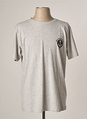 T-shirt gris IRON AND RESIN pour homme