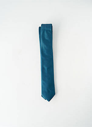Cravate bleu VERUGIA pour homme