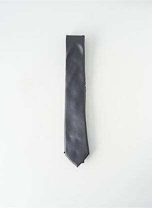 Cravate gris VERUGIA pour homme