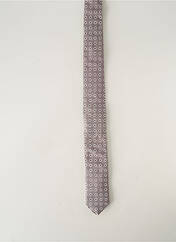 Cravate gris REAL GUYS BY J.PLOENES pour homme seconde vue
