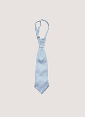 Cravate bleu GRÈGE pour homme seconde vue