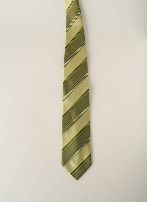 Cravate vert BRUNO SAINT HILAIRE pour homme