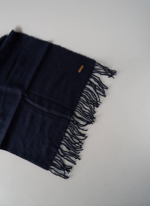 Echarpe bleu BARTS pour femme