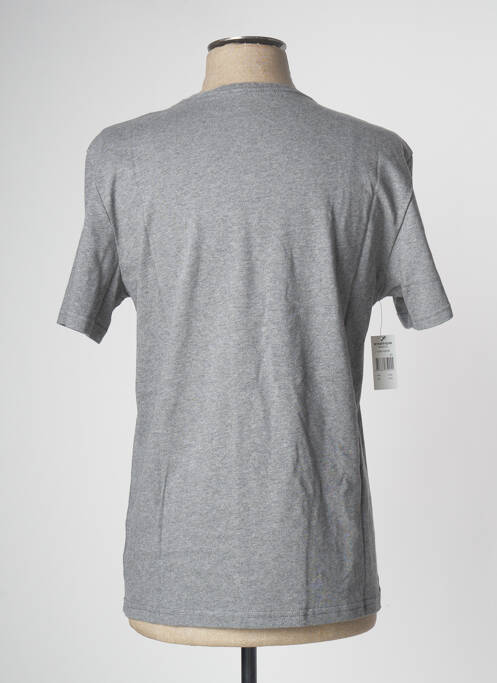 T-shirt gris ELEMENT pour homme