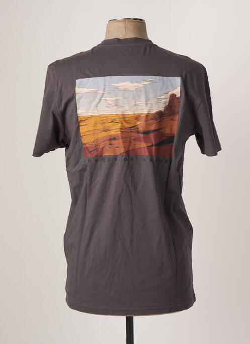 T-shirt gris ELEMENT pour homme