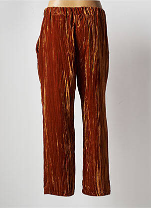 Pantalon droit fermeture zippée sous rabat boutonné taille normale marron DIXIE femme