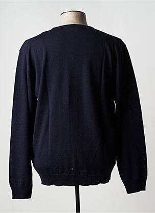 Pull col v manches longues bleu DIGEL homme