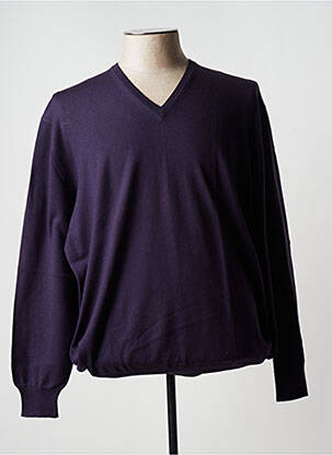 Pull col v manches longues violet VIADESTE homme