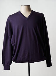 Pull col v manches longues violet VIADESTE homme