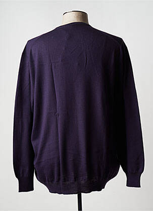 Pull col v manches longues violet VIADESTE homme