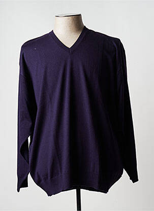 Pull col v manches longues violet MAXFORT homme