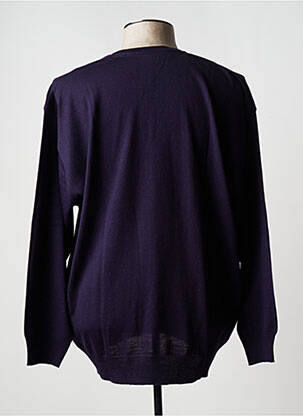 Pull col v manches longues violet MAXFORT homme