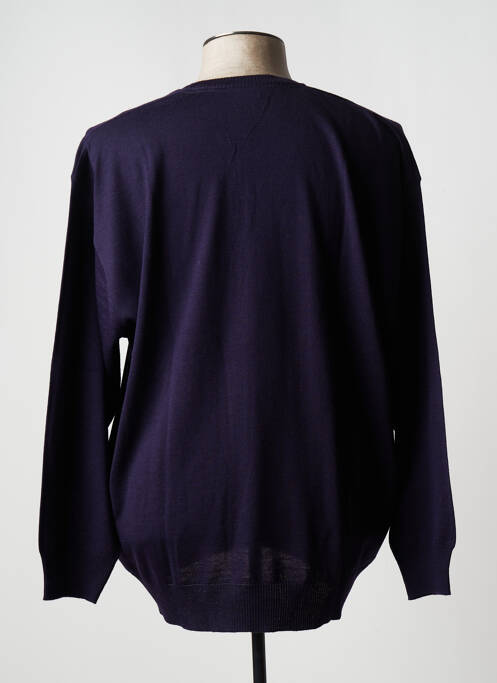 Pull col v manches longues violet MAXFORT homme