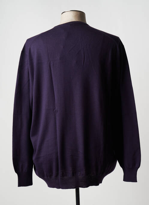 Pull col v manches longues violet VIADESTE homme