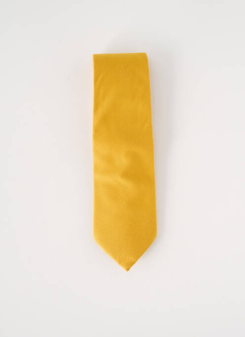 Cravate jaune LE COLONEL pour homme